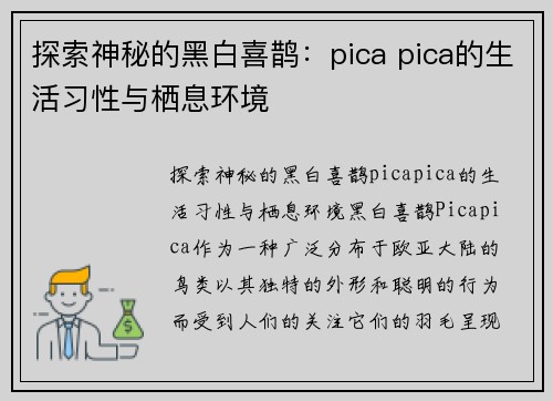 探索神秘的黑白喜鹊：pica pica的生活习性与栖息环境